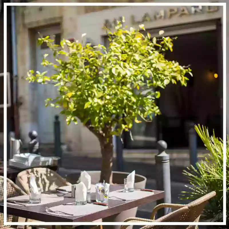 Au Lamparo - Restaurant Marseille - restaurant Méditérranéen Marseille